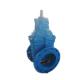 WRAS Approved Coating Ductile Iron 10 Inch Gate Valve For Pump