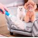 Pet Brush Fur & Lint Remover Colour Box Deshedding Grooming Tool Double-Sided Pet Hair Remover Brush