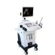 2D Trolley Black and White Ultrasoudn Scanner with convex probe