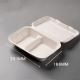Food Packaging Sugarcane Bagasse Lunch Box Containers For Salad