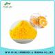 Food Ingredients Fresh Orange Juice Powder with Good Water Solubility