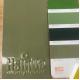 High Gloss Ral 6013 Powder Coating Anti-corrosion Epoxy Polyester Paint Spray for Furniture