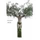 280CM Decoration Artificial Olive Statue Tree With Fruits For Hall / Stores / Display