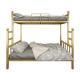 School Furniture Adult Full Size Metal Garden Bunk Bed for Space Saving in Queen Loft Bed