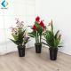 Strelitzia Reginae Artificial Bonsai Plants For Interior Ornament R020059