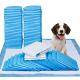 Super Absorbent Polymer Disposable Puppy Training Pads OEM ODM