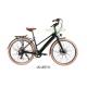 Road Electric Bike Small And Lightweight Variable Speed For Ladies Riding Quick Charger