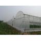 Greenhouses And Tunnels Insect Mesh Netting Plain Weave 0.3mm Wire Diameter