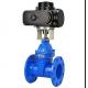 DN150 PN16 WCB NKZ961H Electric Flange Vacuum Gate Valve for Customized Requirements