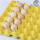 30 Hole Biodegradable Recycled Paper Egg Tray , Customizable Reusable Egg Storage Solution