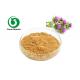 Natural Seed Milk Thistle Herbal Supplement Extract Powder Silymarin Uv 70%