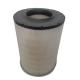 Provided Video Outgoing-Inspection AF26173 Air Filter Element for Engineering Machinery