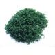 Tree powder for model tree are tree sponge ,tree foliage spongeT-2001