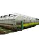 Double or Single Layer Multi-Span Agricultural Greenhouses for Customizable Farming