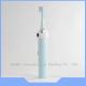 Adult Panda Teeth Smart Electric Toothbrush with 2 Head