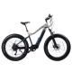 Disc Brake 26 Inch Electric Fat Tire Bike With 48V 14.5AH Lithium Battery