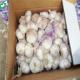 NORMAL WHITE GARLIC 10KG CARTON LOOSE PACKAGE