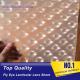 PLASTIC LENTICULAR flyeye lenticular sheet fly eye 3d pp lens array for packaging box decoration