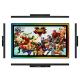 10.1 Inch Resistive LCD Touch Screen Monitor Waterproof 10 Point Multitouch
