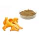 30% Polysaccharides Chantarelle Mushroom Extract Powder