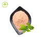Food Grade Green Tea Leaf Extract Polyphenols 98% Catechin 80% Egcg 60% Bulk Powder