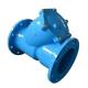 Port Size with Customer's Requirements Ductile Iron Y Strainer Double Flange Water