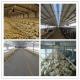 Q235 / Q345 Environmentally Controlled Poultry House , Light Steel Hen Farm House