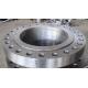 Steel Flanges RF SS304