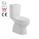 S/P Trap Two Piece Toilet Bowl Dual Flush Water Closet OEM ODM Available