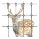 Galvanized Heat Treated Warp-Around Grassland Fence for Deer Exclusion and Protection