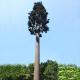 10m Disguised Bionic Tree Camouflaged Cell Tower