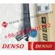 DENSO Diesel Fuel Injector 295700-0560 295700-05602D 23670-0E020  