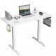 Single or Dual Motor Electric Sit Stand Up Desk for White Wooden Laptop Gaming Work Table