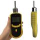 Portable Fast Response H2S Gas Detector 0-100PPM With British Sensor