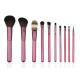 10 Pcs Pink Nylon Hair Professional Makeup Brushes Set For Beginners