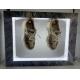 hot sale magnetic levitation double pair shoes display racks with led light
