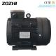 Car Washer High Pressure Washing Machine AC Electric Induction Pump Asynchronous Hollow Shaft Motor