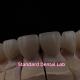 PFZ Dental Layered Ceramic Zirconia Bridge With Incisal Translucent