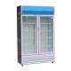 6.2A Glass Door Commercial Freezer R290 GAS Merchandising Refrigerator