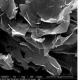 Nano graphene sheets