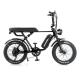 Full Suspension Rear Hub Motor Electric Bike with 48v 1000w Power and REMOVABLE BATTERY