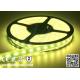 Hot Sale Do-it-yourself RGBW Flexible LED Strip Lights 12V/24VDC Waterproof IP67