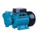 Electric Peripheral Vortex Water Pump 1HP For Small TCL / Steam Generator