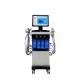 LCD 9 In 1 Hydrafacial Cleaning Machine Microdermabrasion Facial Machine