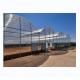 Multi Span Commercial Agricultural Smart Venlo PC Greenhouse 4.0-8.0M Height