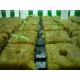 100kg/m3 Hydroponic Rockwool Cubes Growing Medium For Fruits Planting