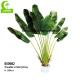 Beautiful 280cm Artificial Traveller's Palm Large Size Plant Garden Landscaping And Indoor Decor