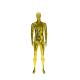 Yellow Male Full Body Mannequin Electroplated Standing Upright