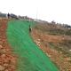 Easy Set Black Green Erosion Control Mat for 3D Geomat on Railway and Mountain Slopes