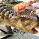 CE 5M Animatronic Ankylosaurus Artificial Dinosaur For Shopping Mall Exhibition